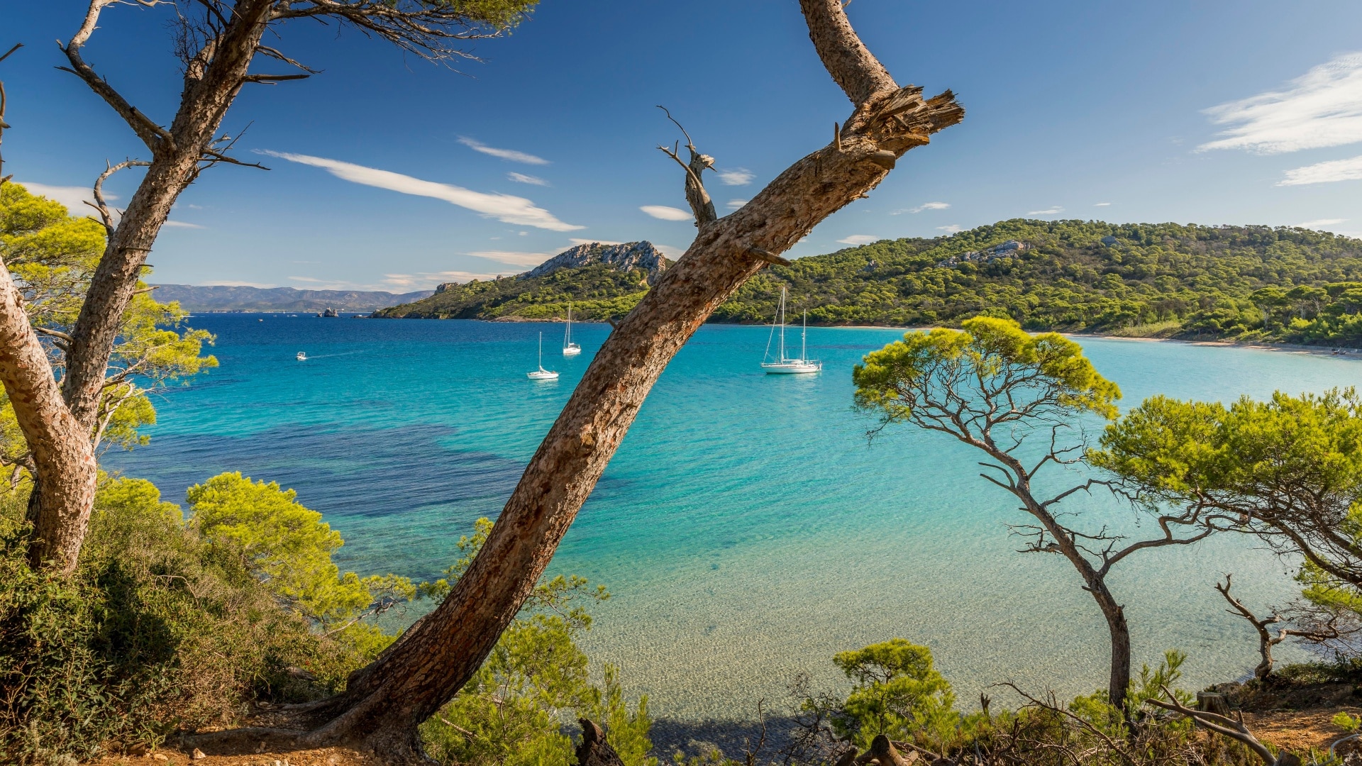 Découvrez - Camping à proximité de la mer Provence