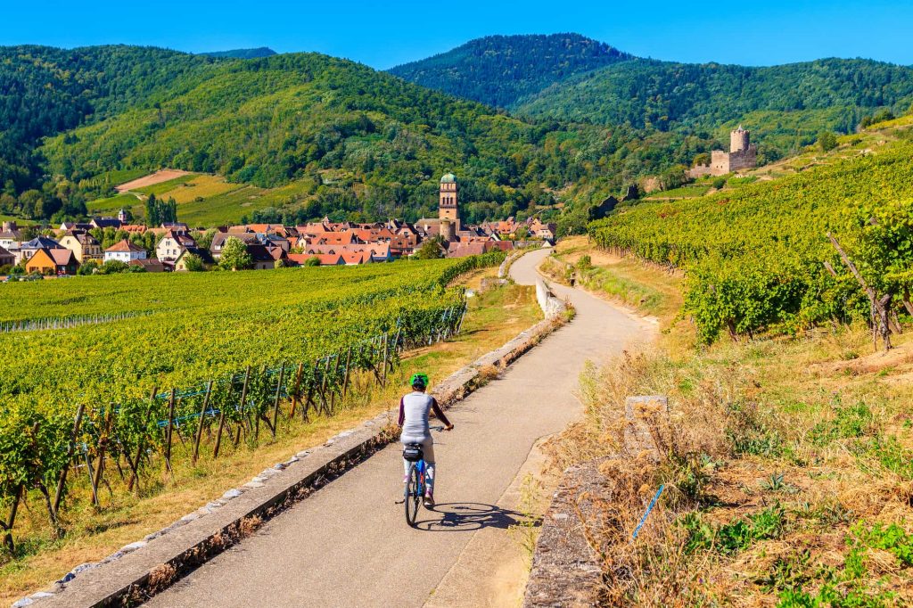 camping grand est decouverte vignes velo